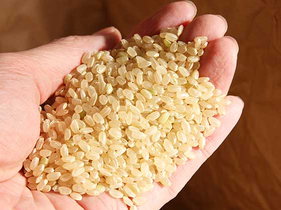 認知症予防　玄米・米ぬか　ブレインフード